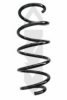 SPIDAN 86895 Coil Spring